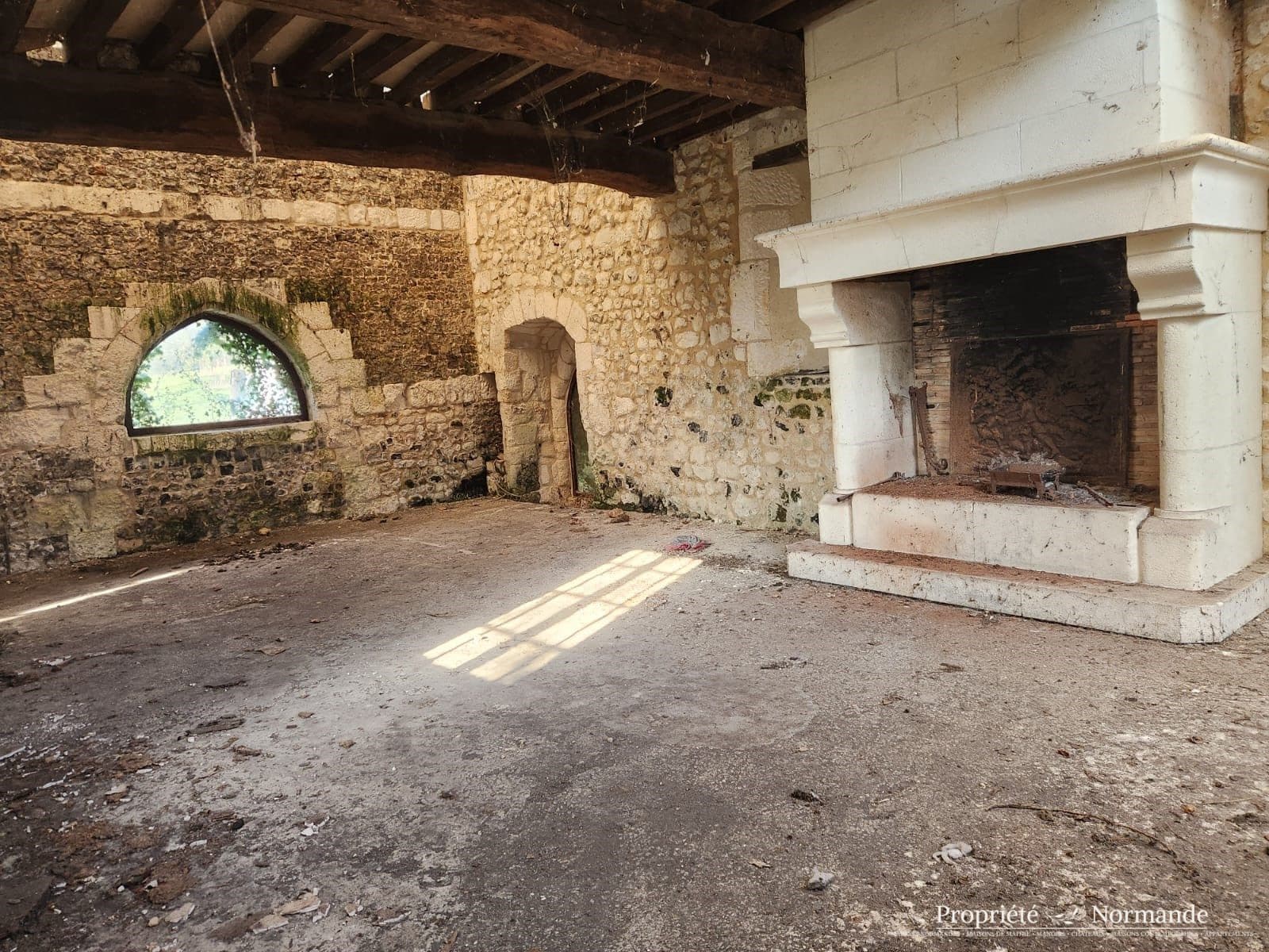 Image 6