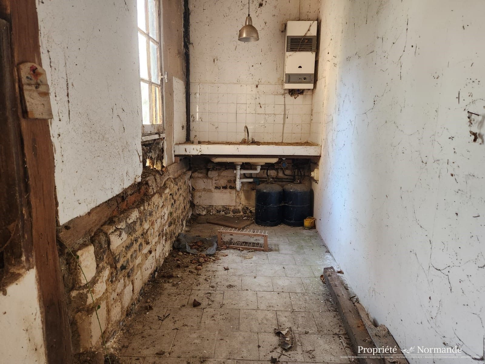 Image 12
