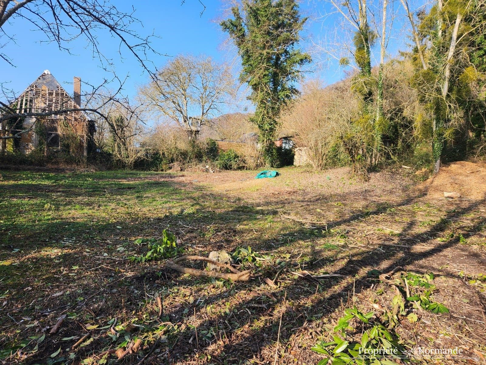 Image 15