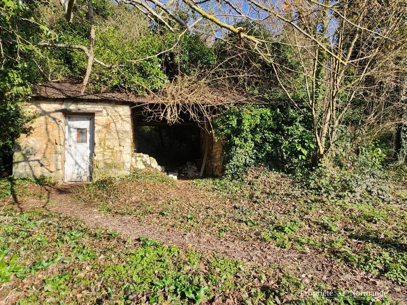 Image 16