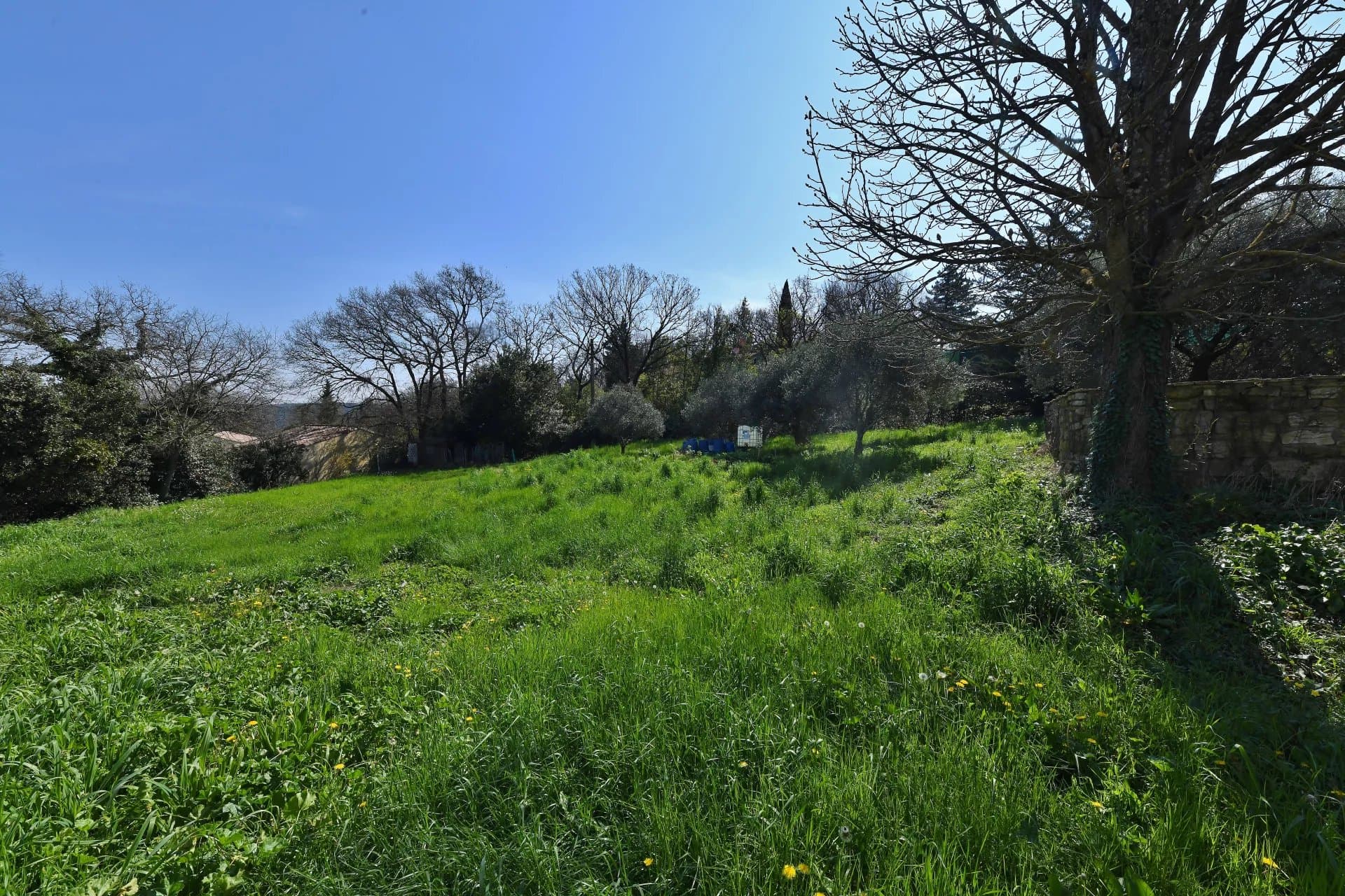 Image 14