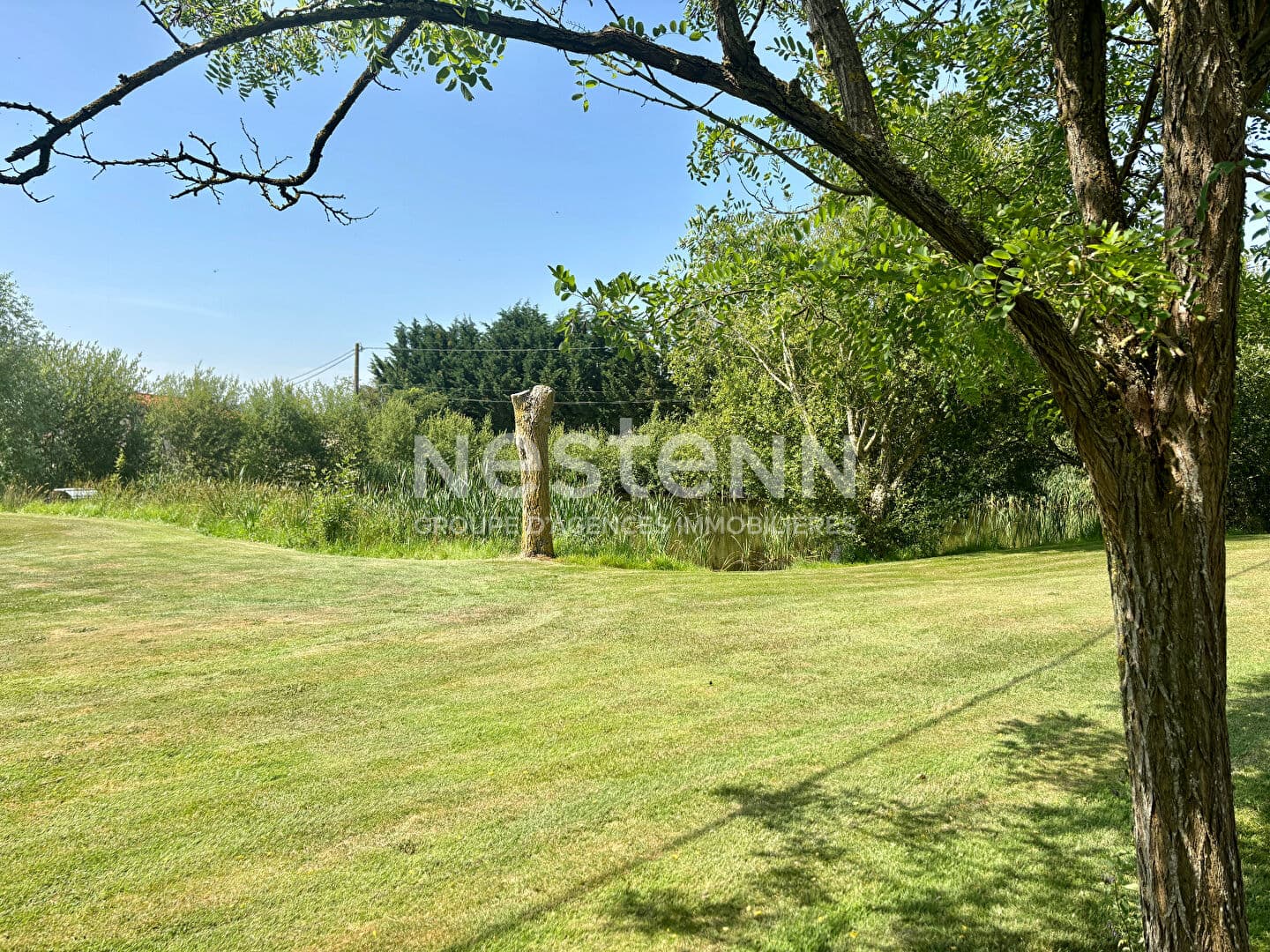 Image 13
