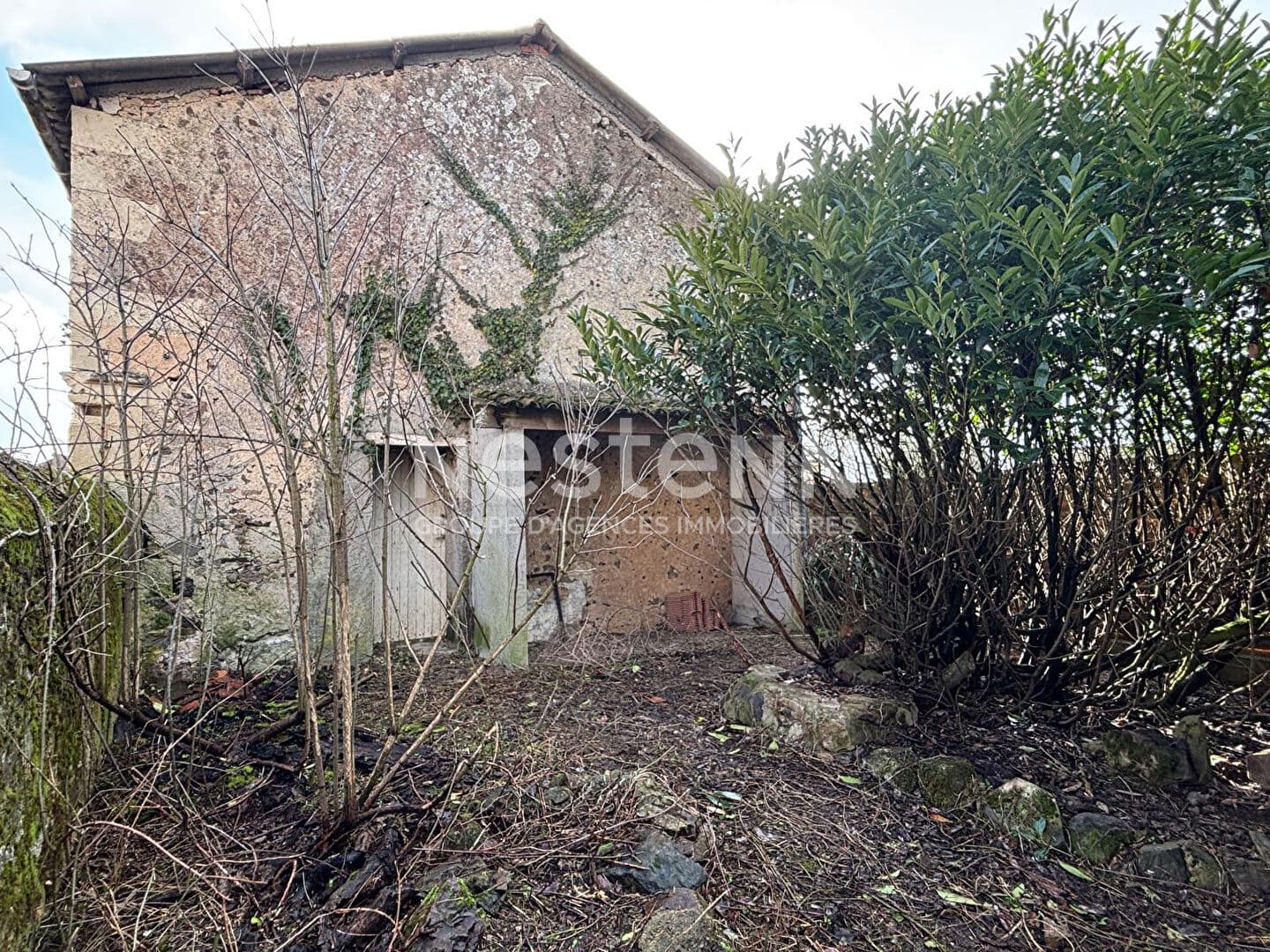 Image 13