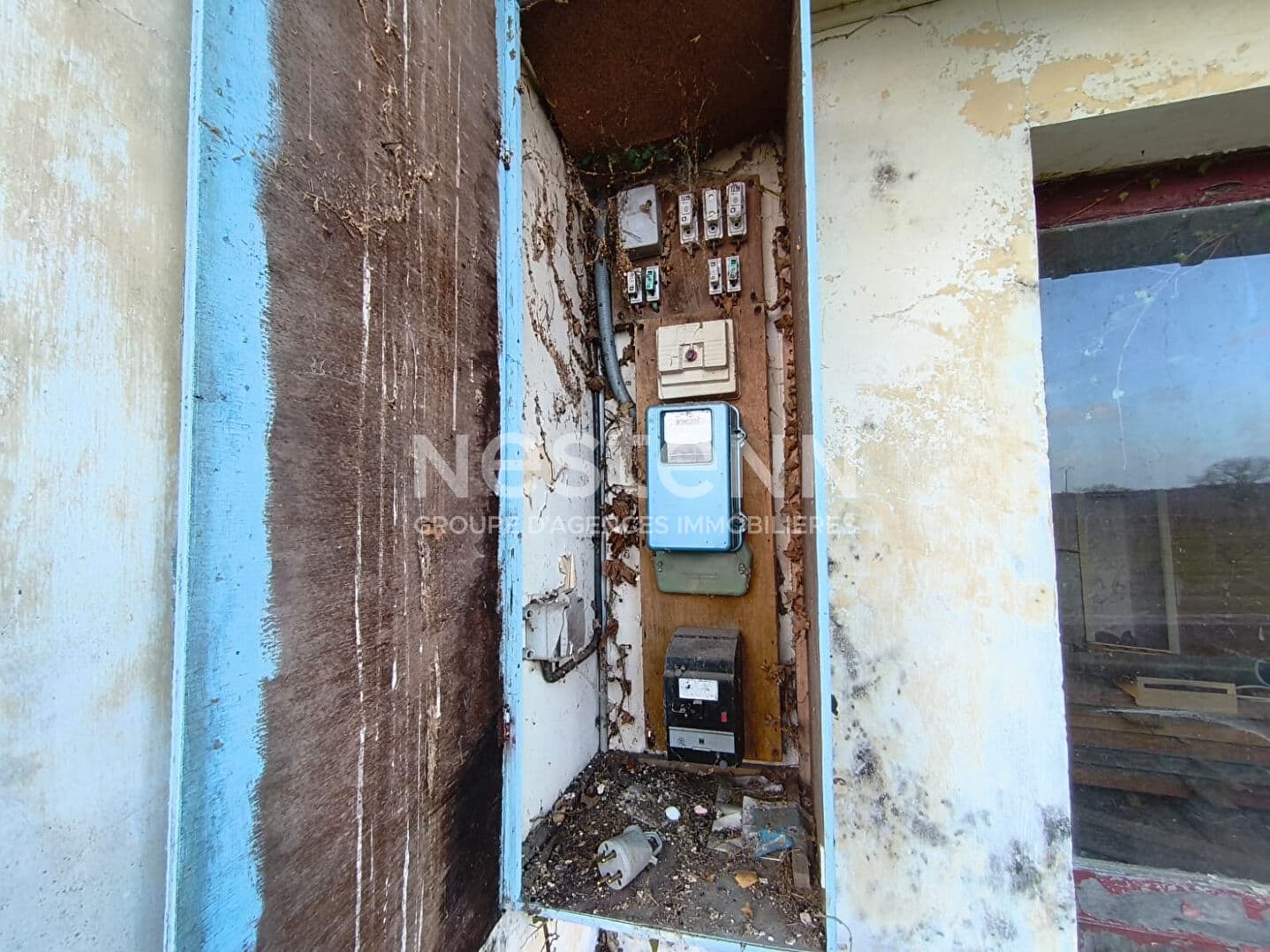 Image 12