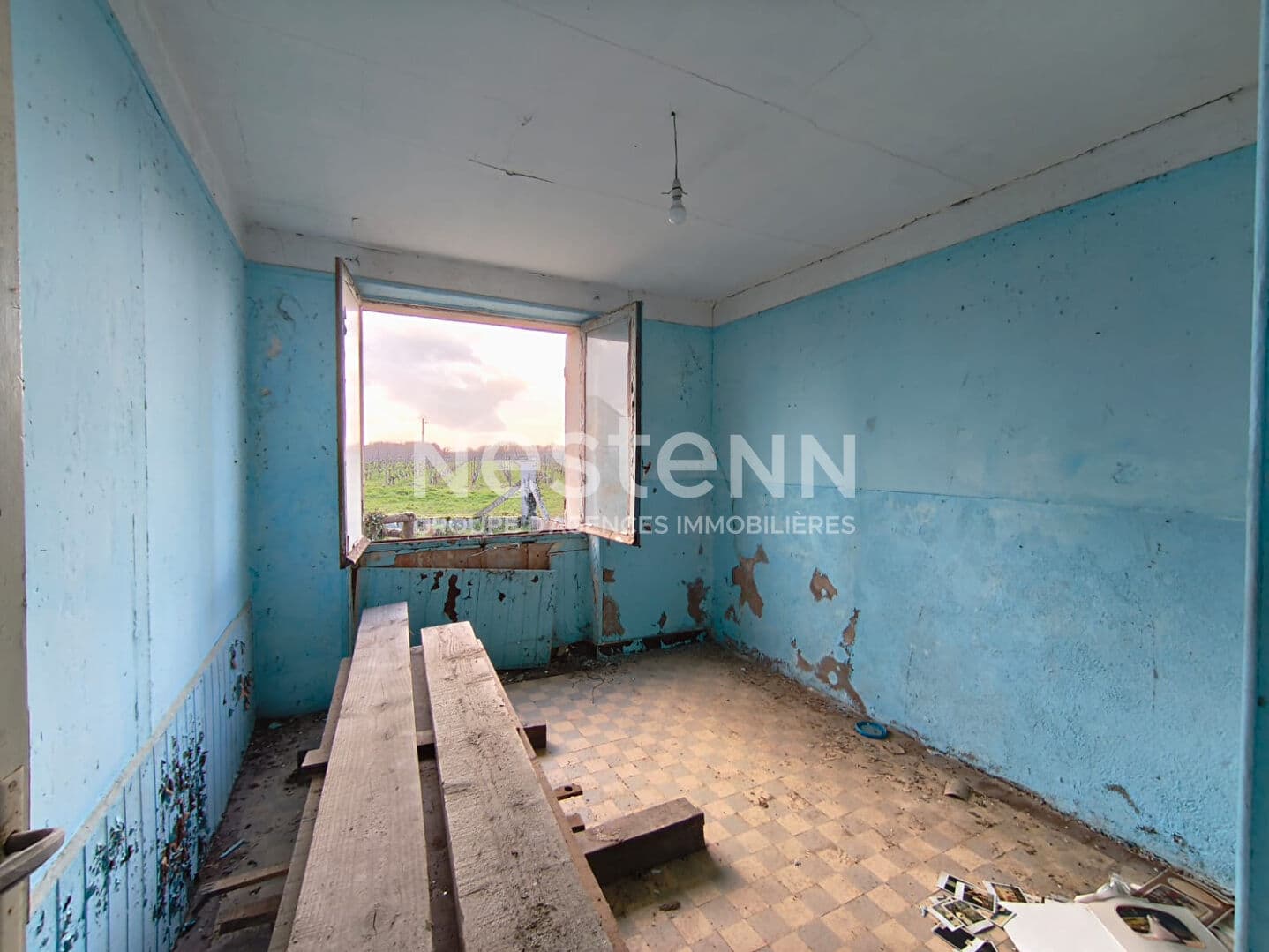 Image 13