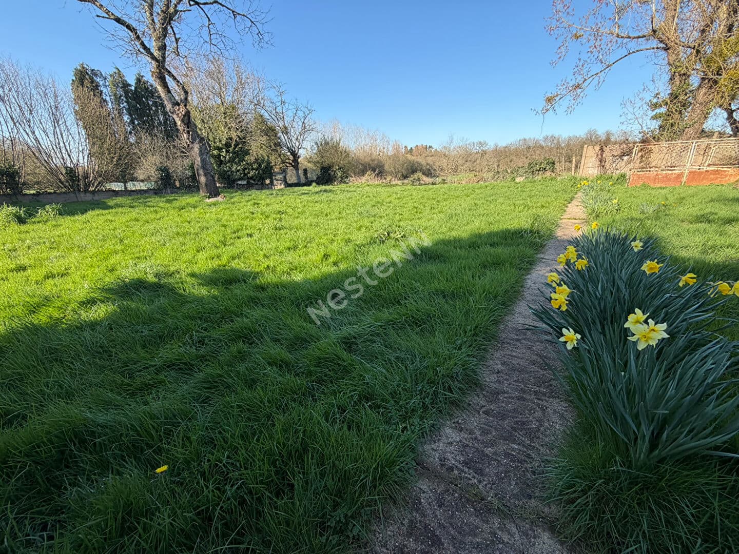 Image 15