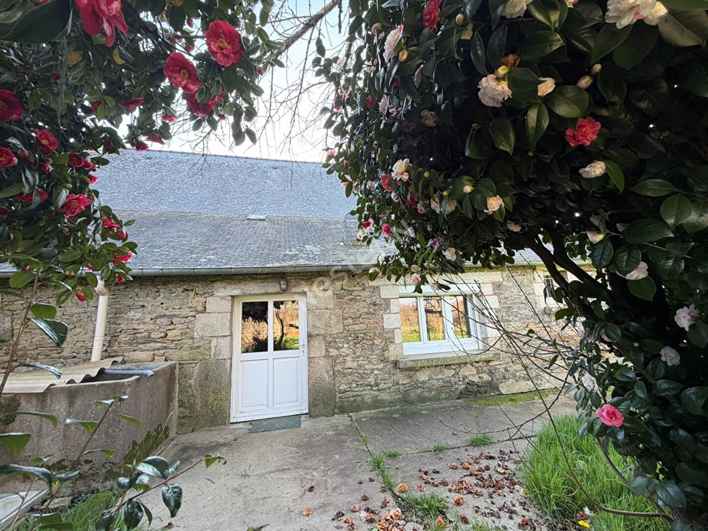 Image 17