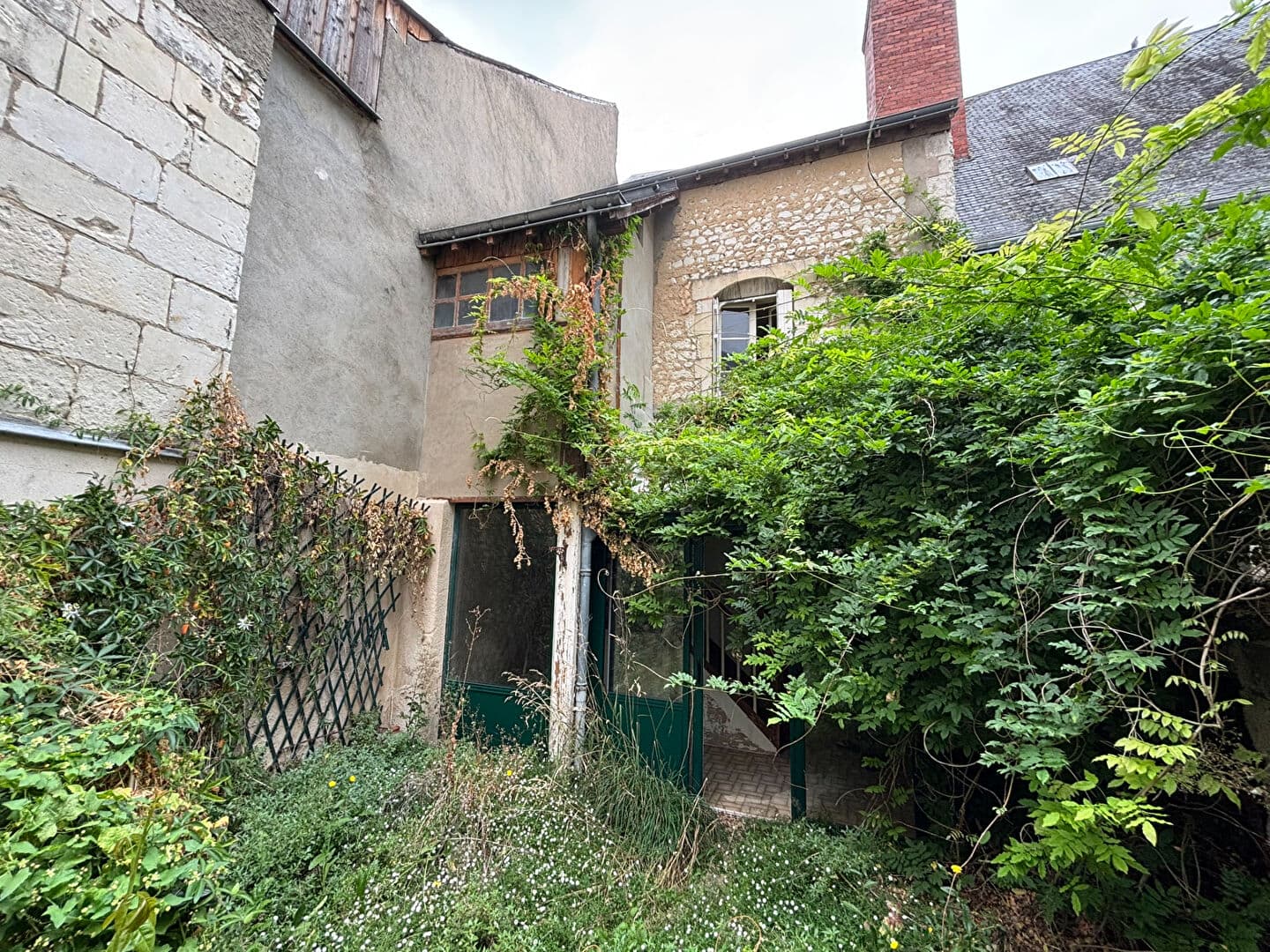 Image 13