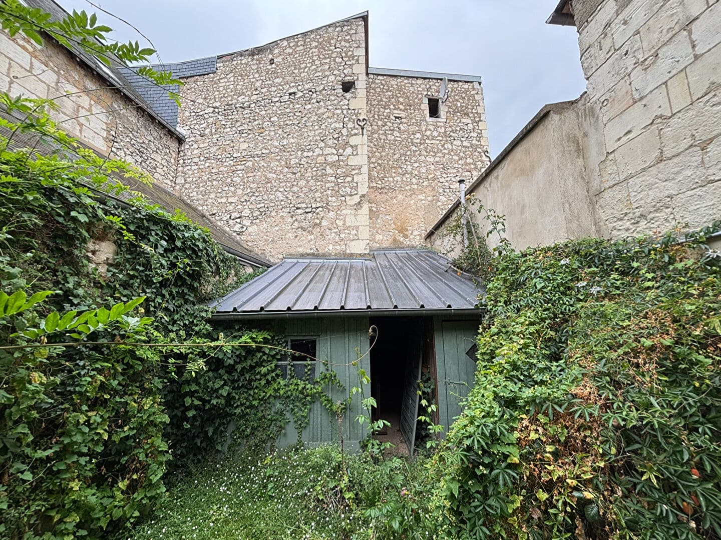 Image 14