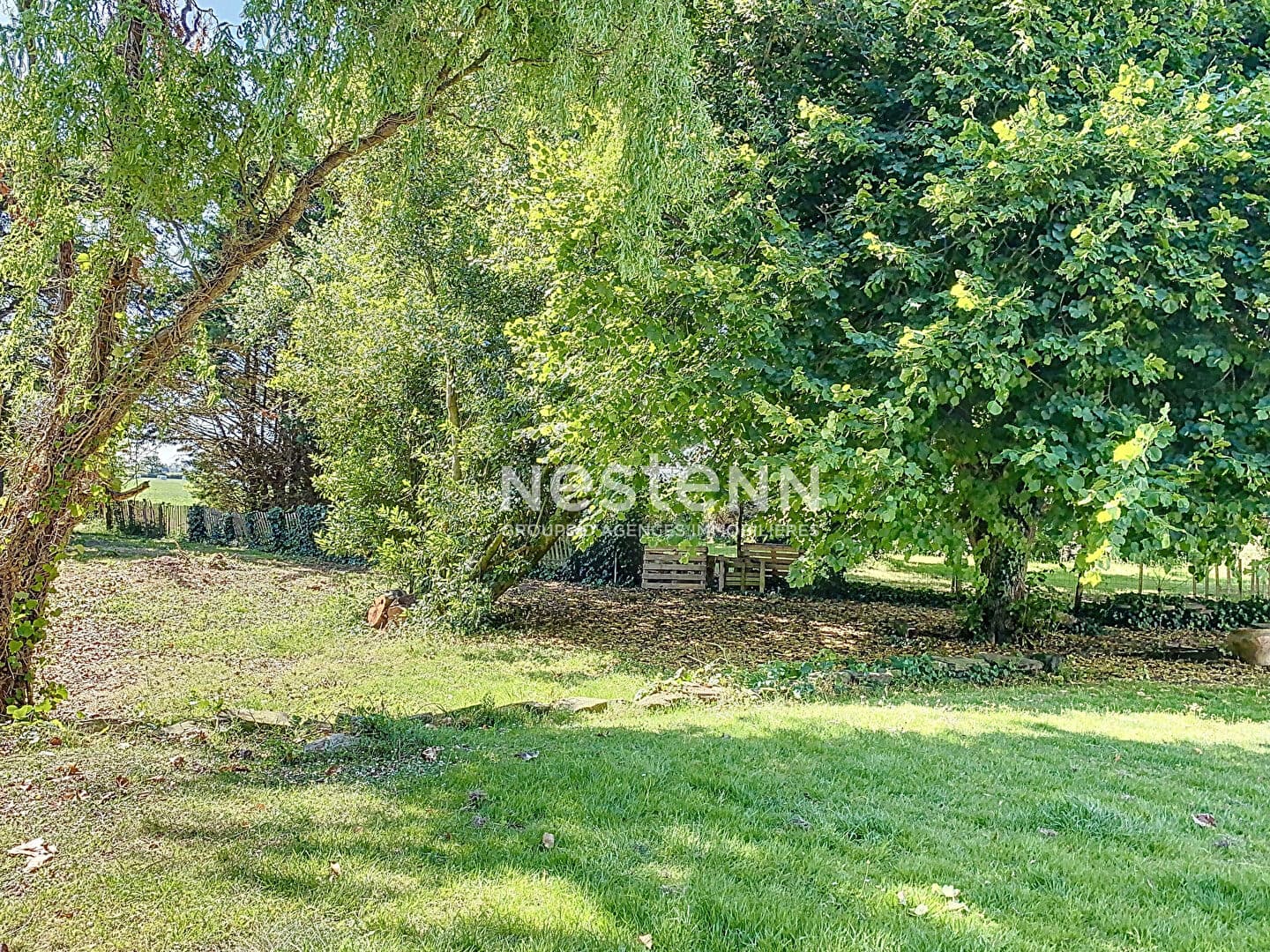 Image 13