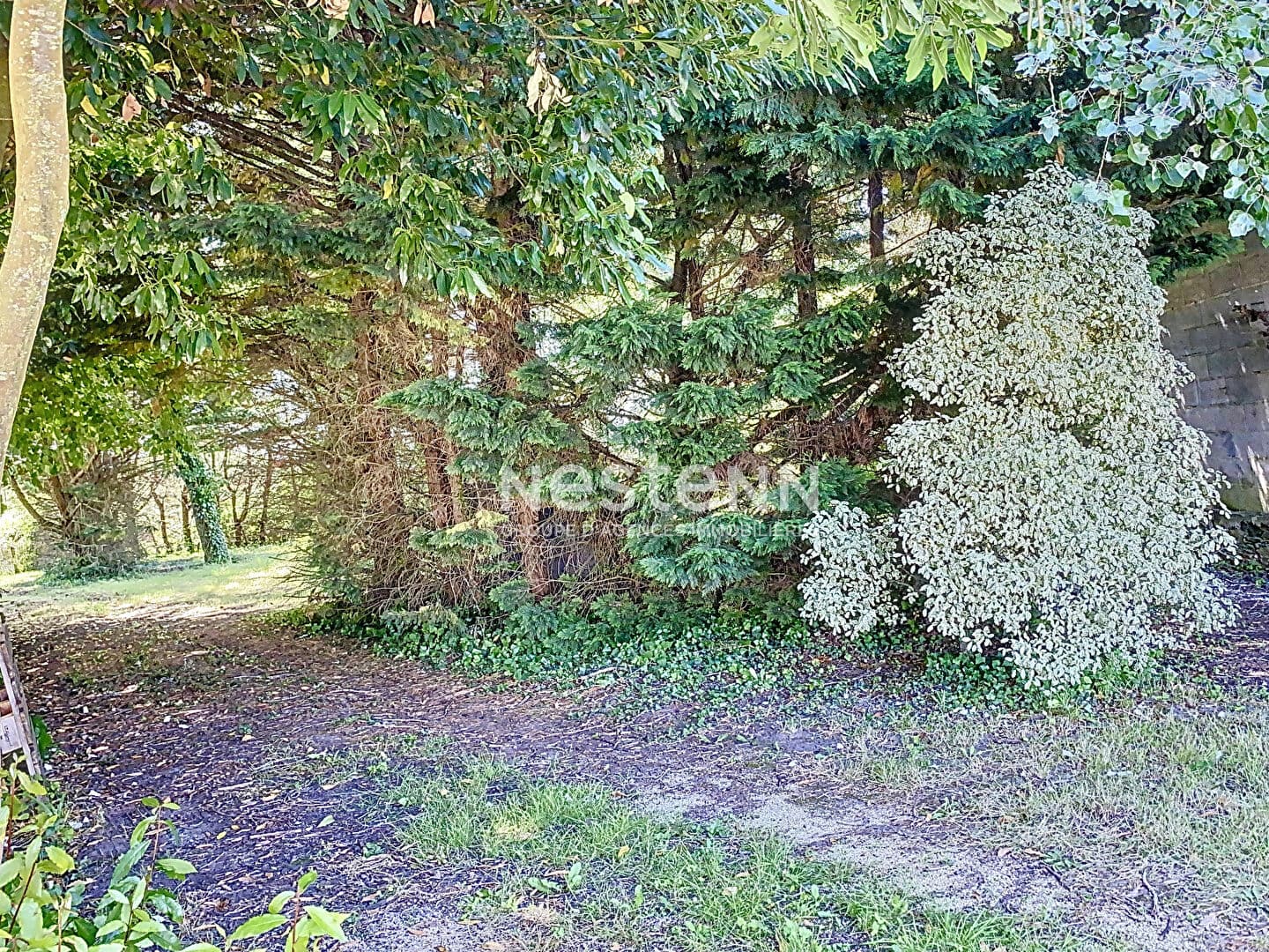 Image 14