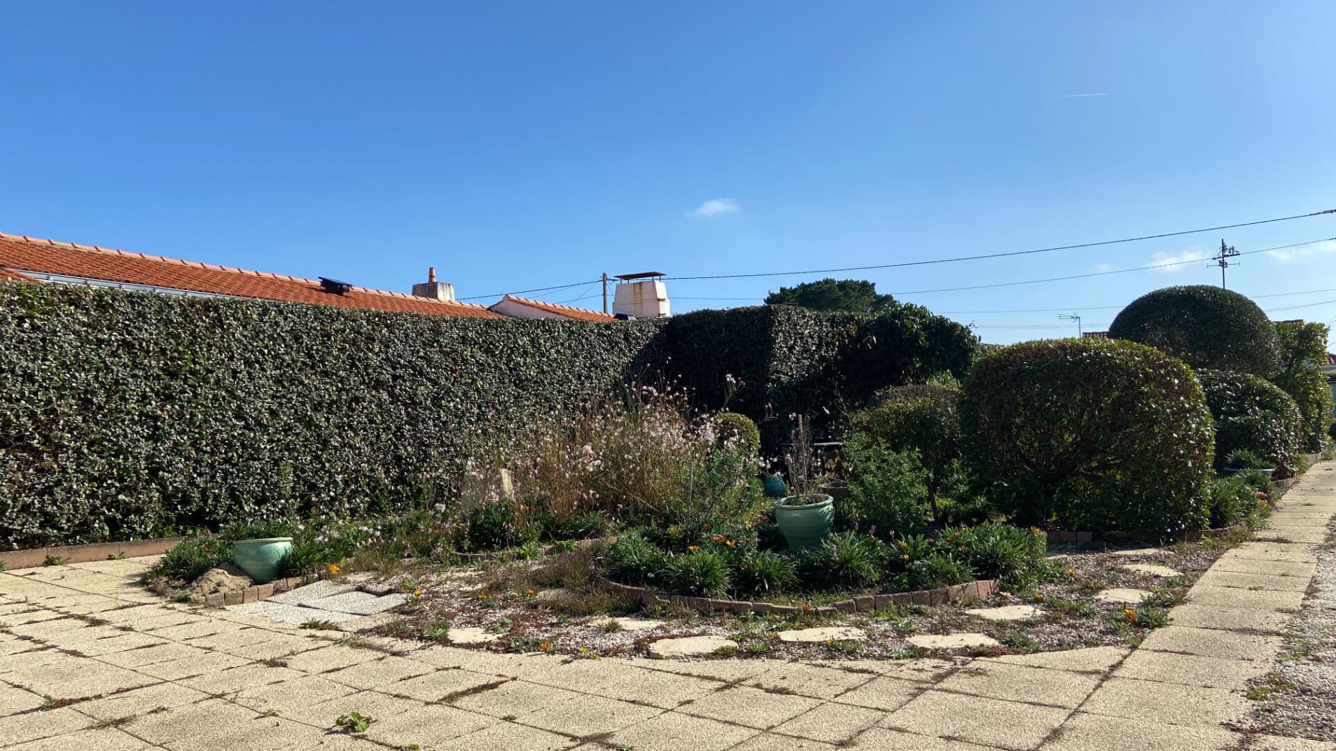 Image 14
