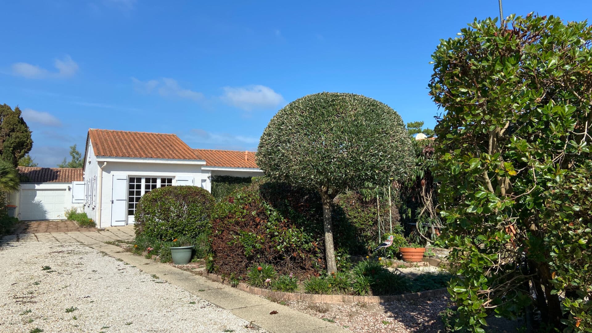 Image 15