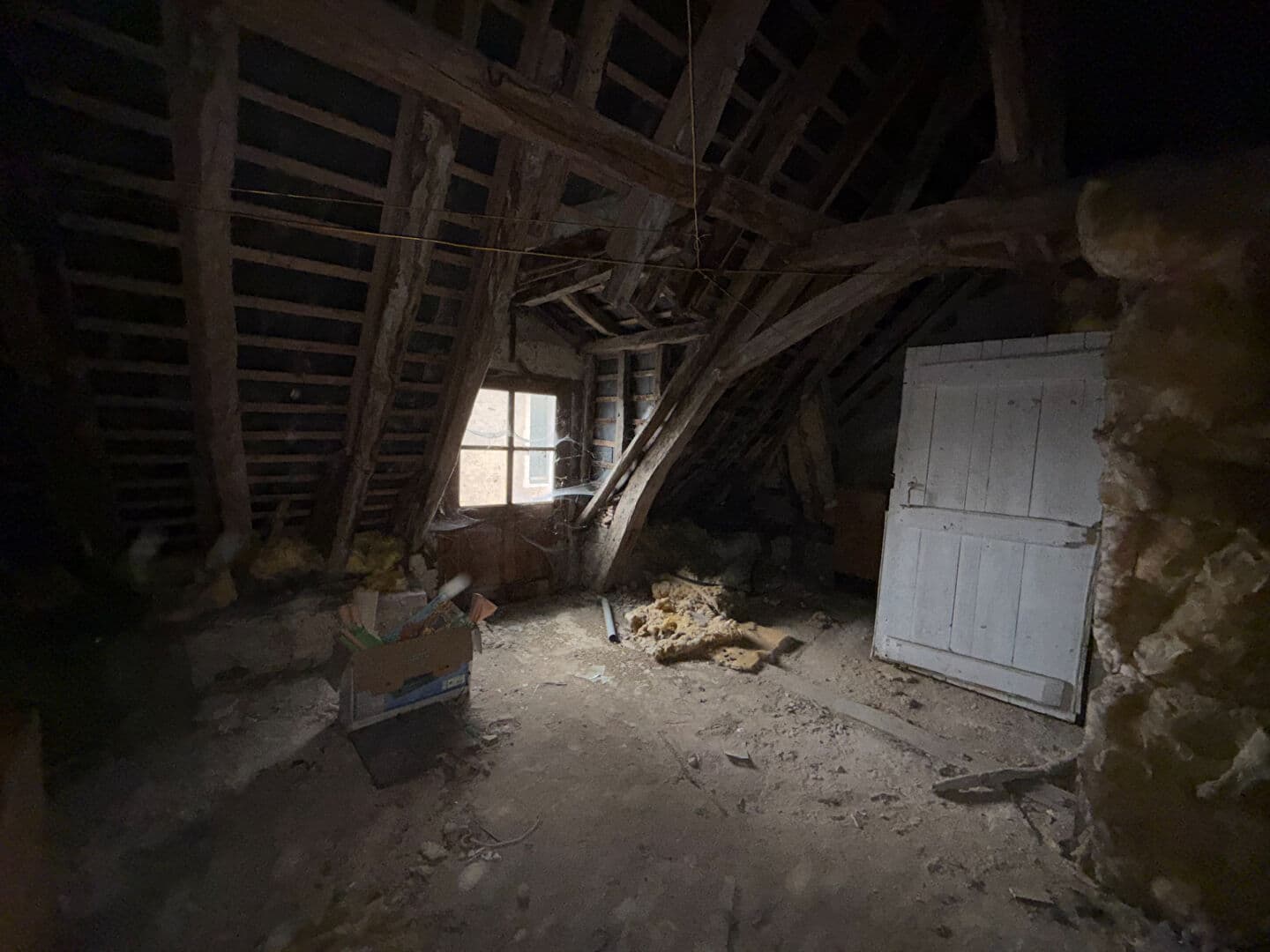 Image 7