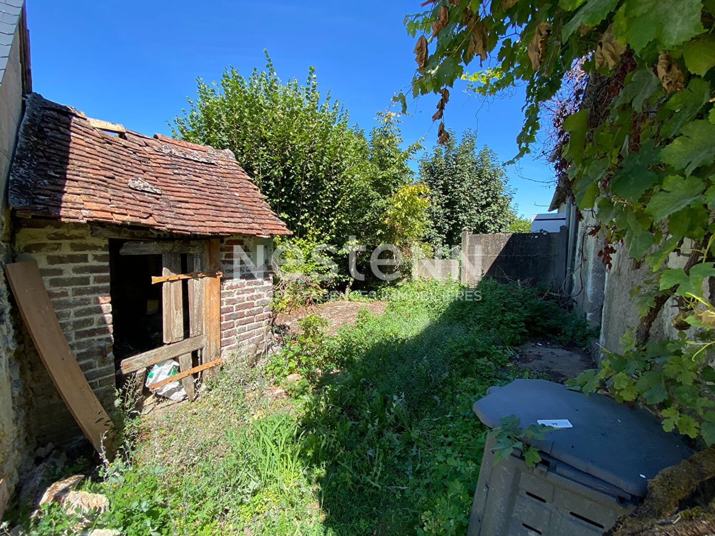 Image 10