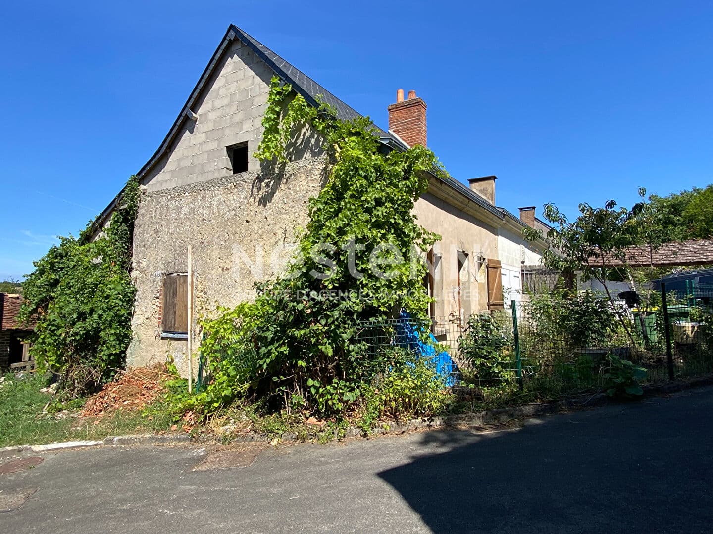 Image 15
