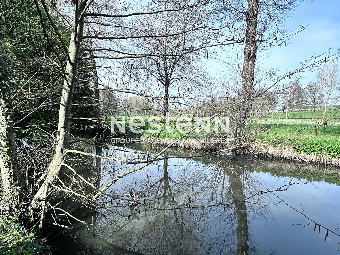 Image 15