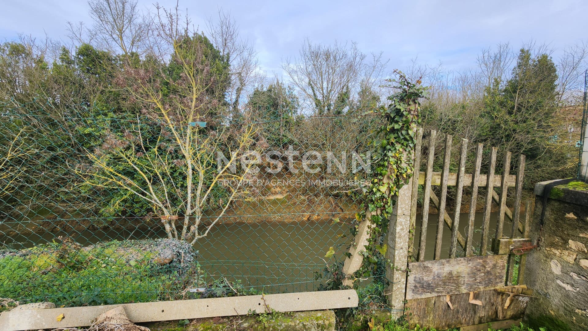 Image 19