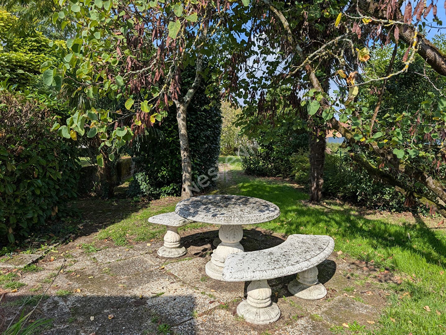 Image 15