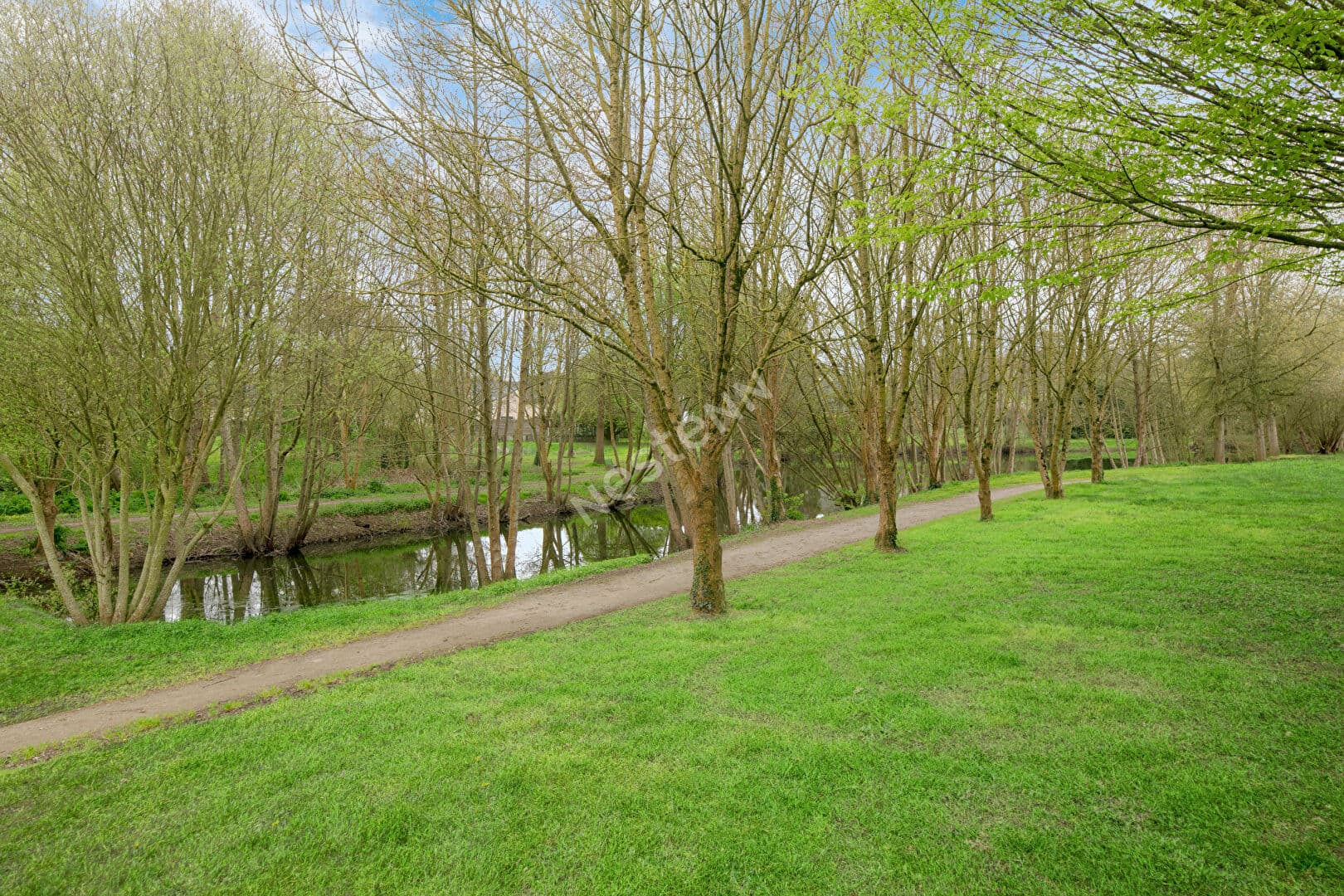 Image 20