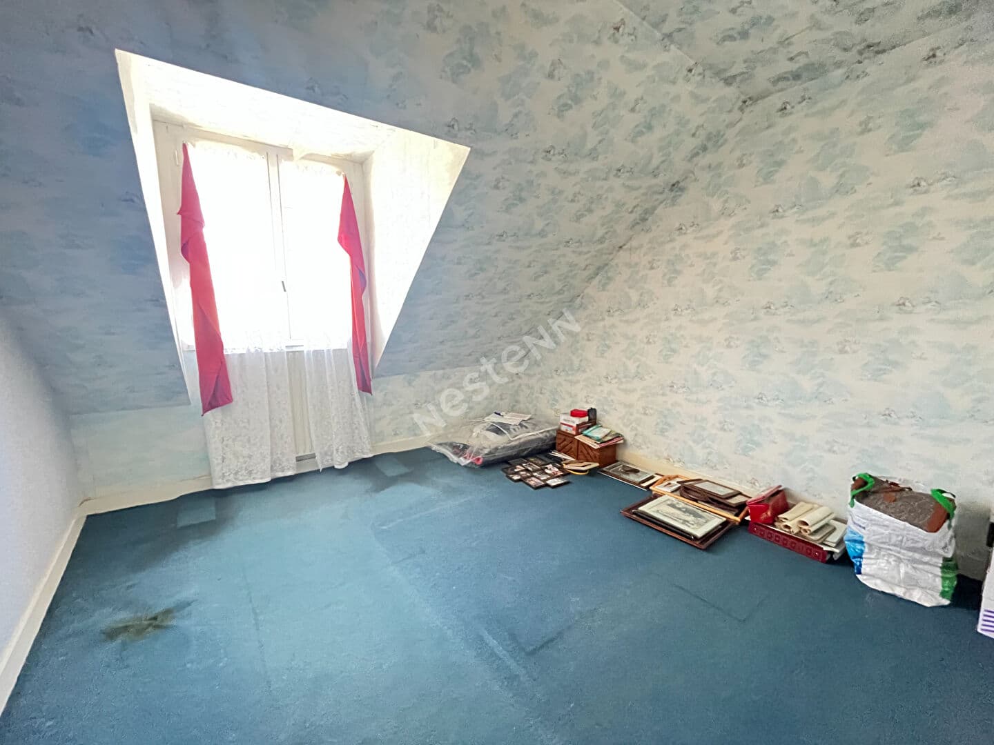 Image 8