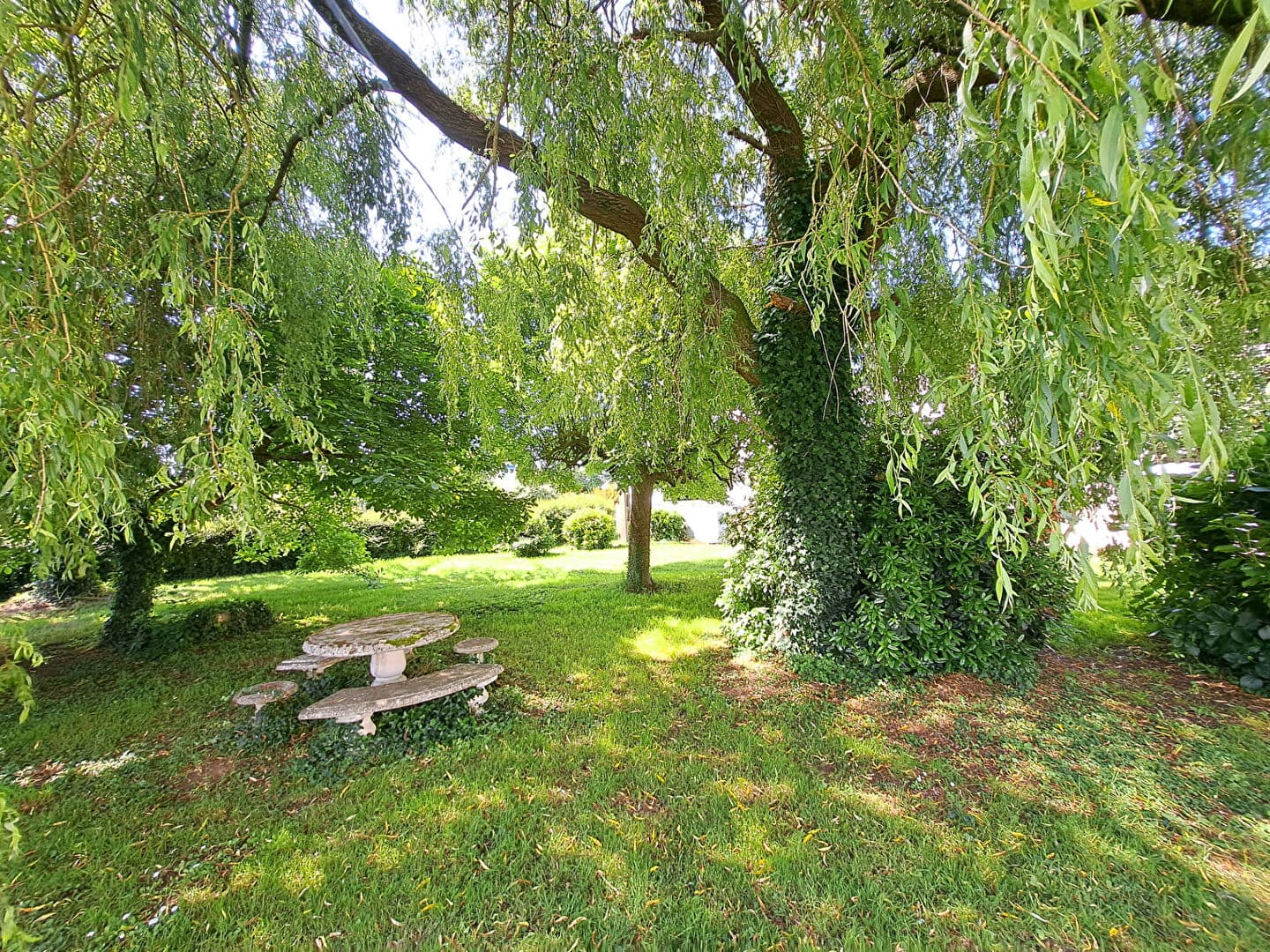 Image 14
