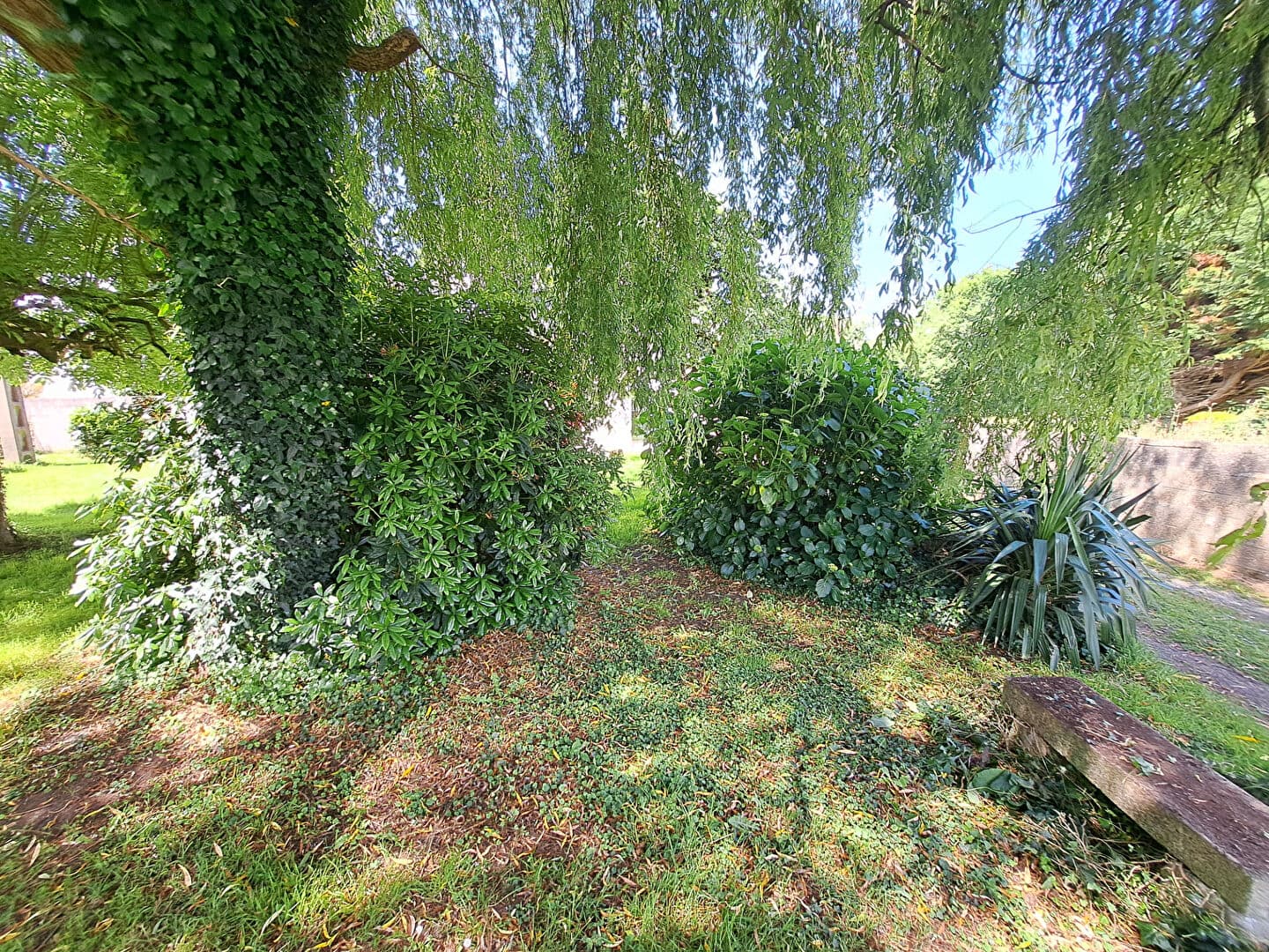 Image 15