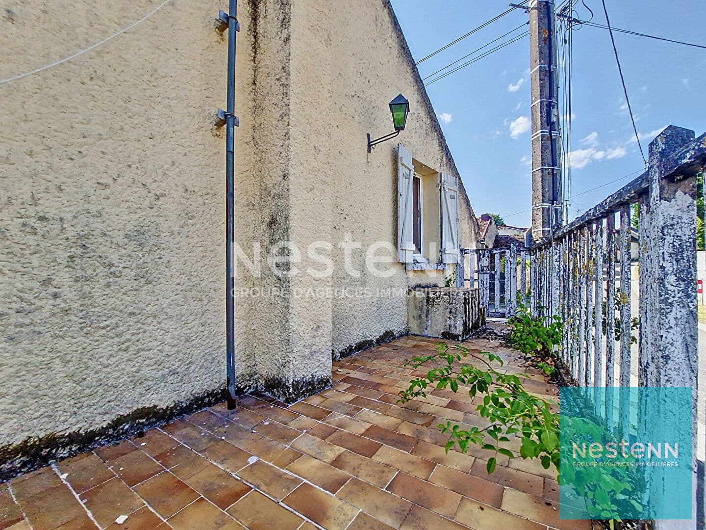 Image 12