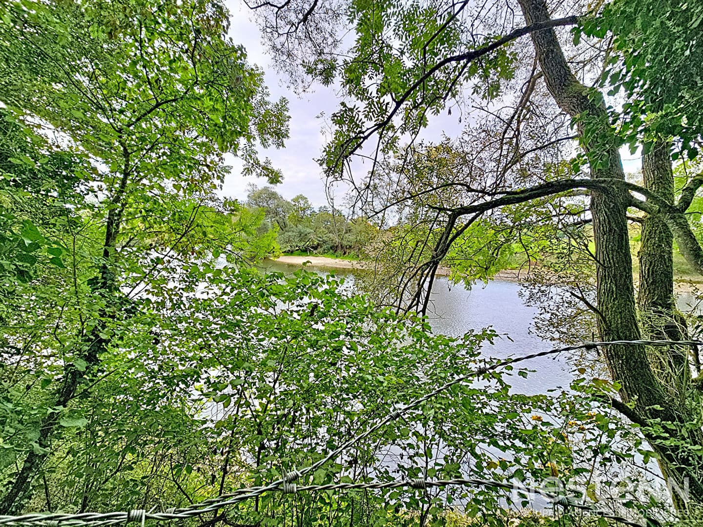Image 10