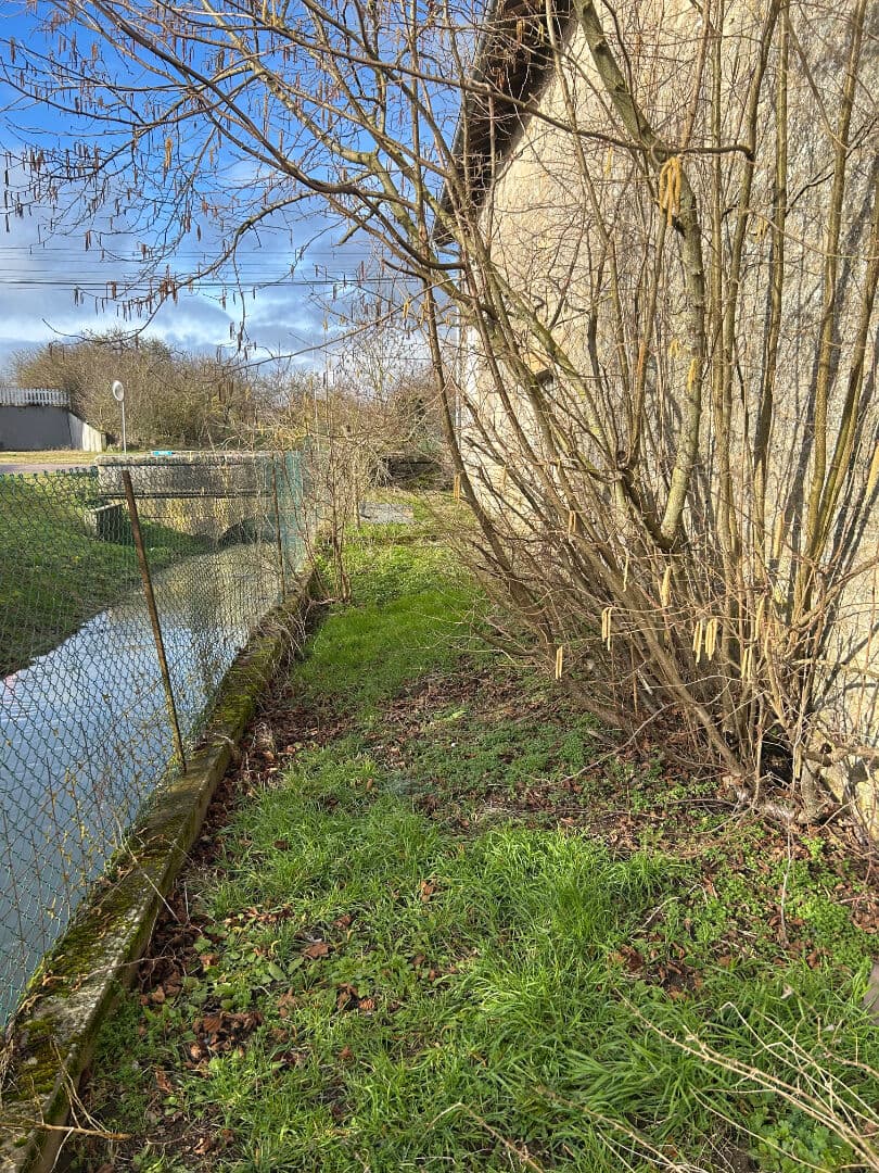 Image 15