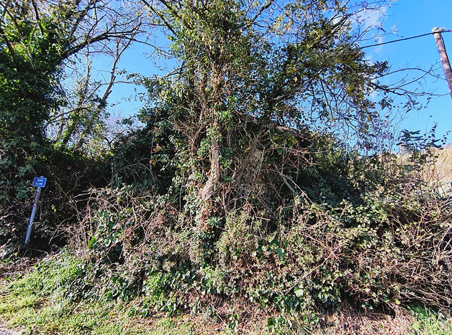 Image 9