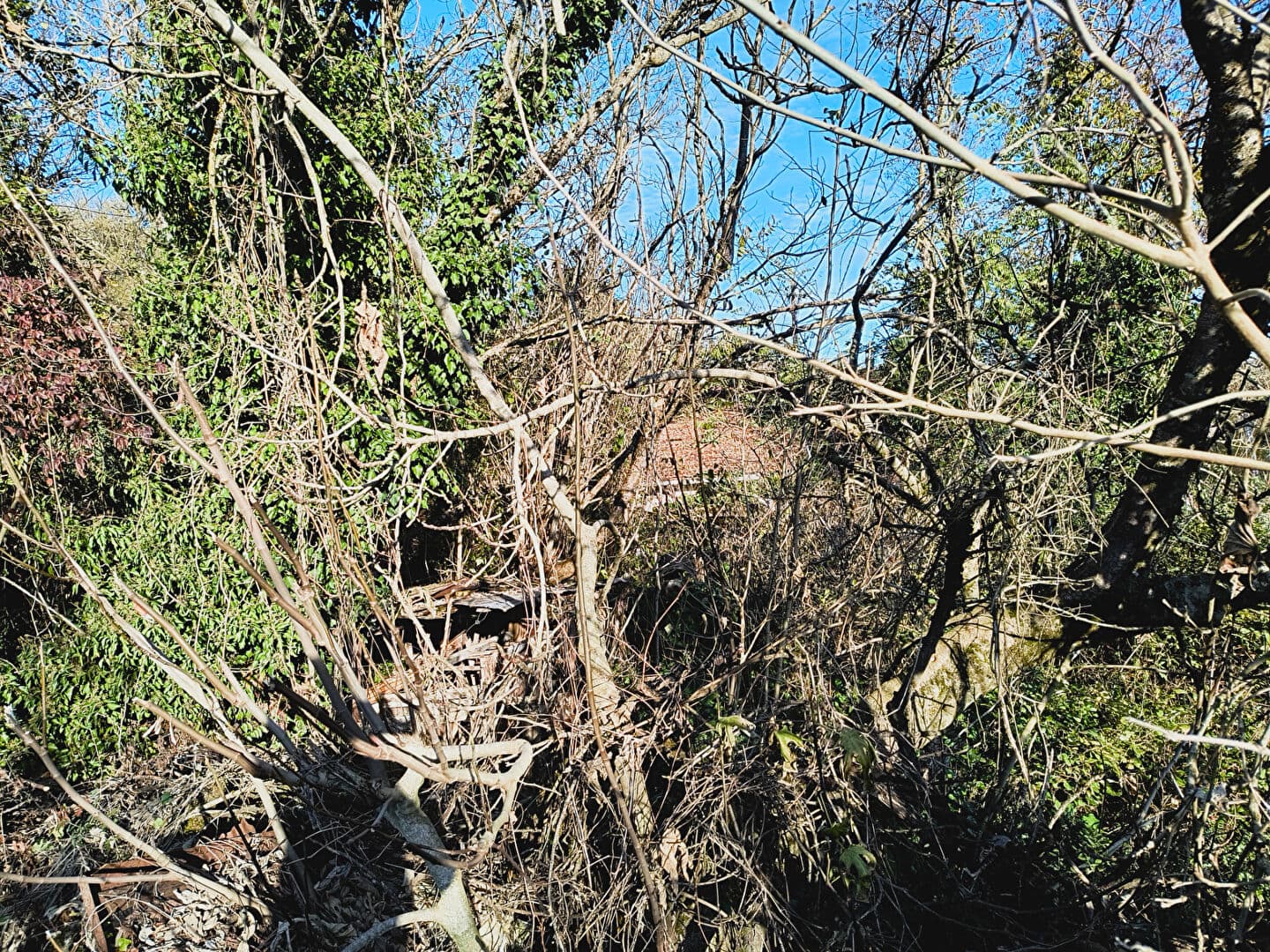 Image 10