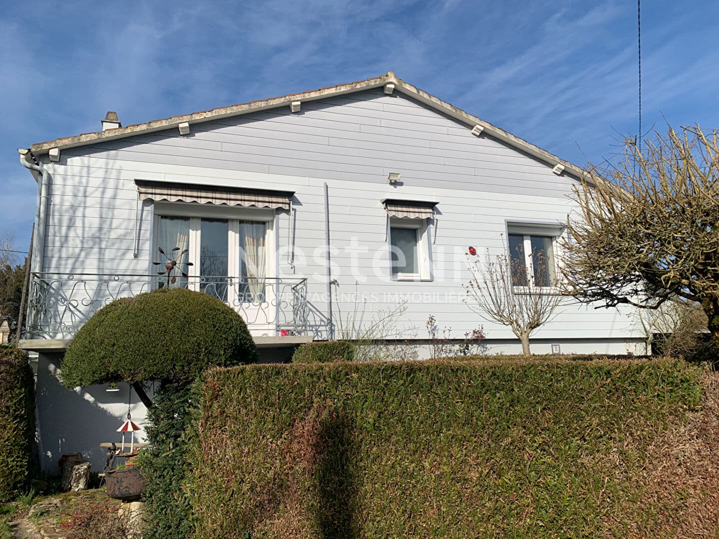 Image 7
