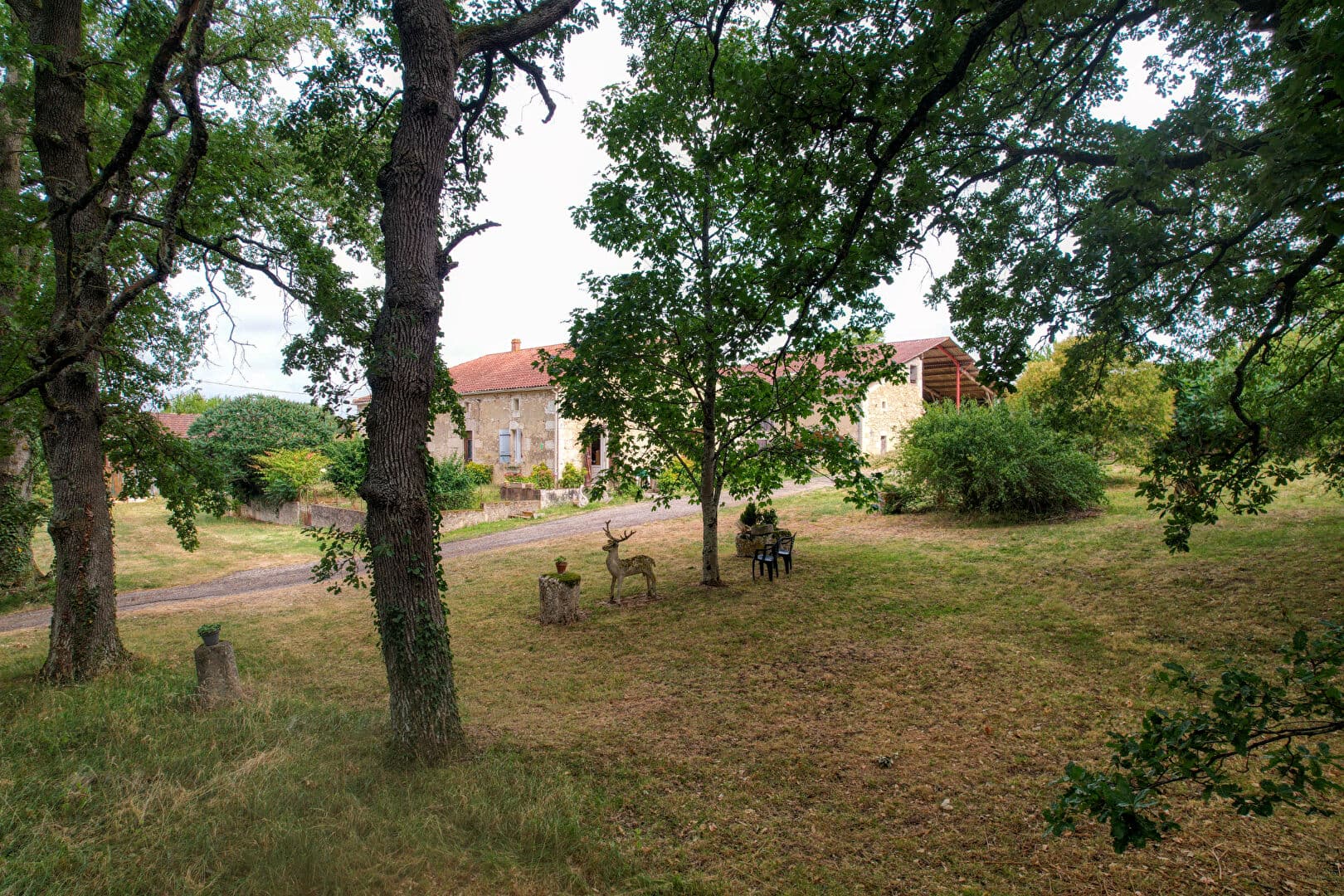 Image 21