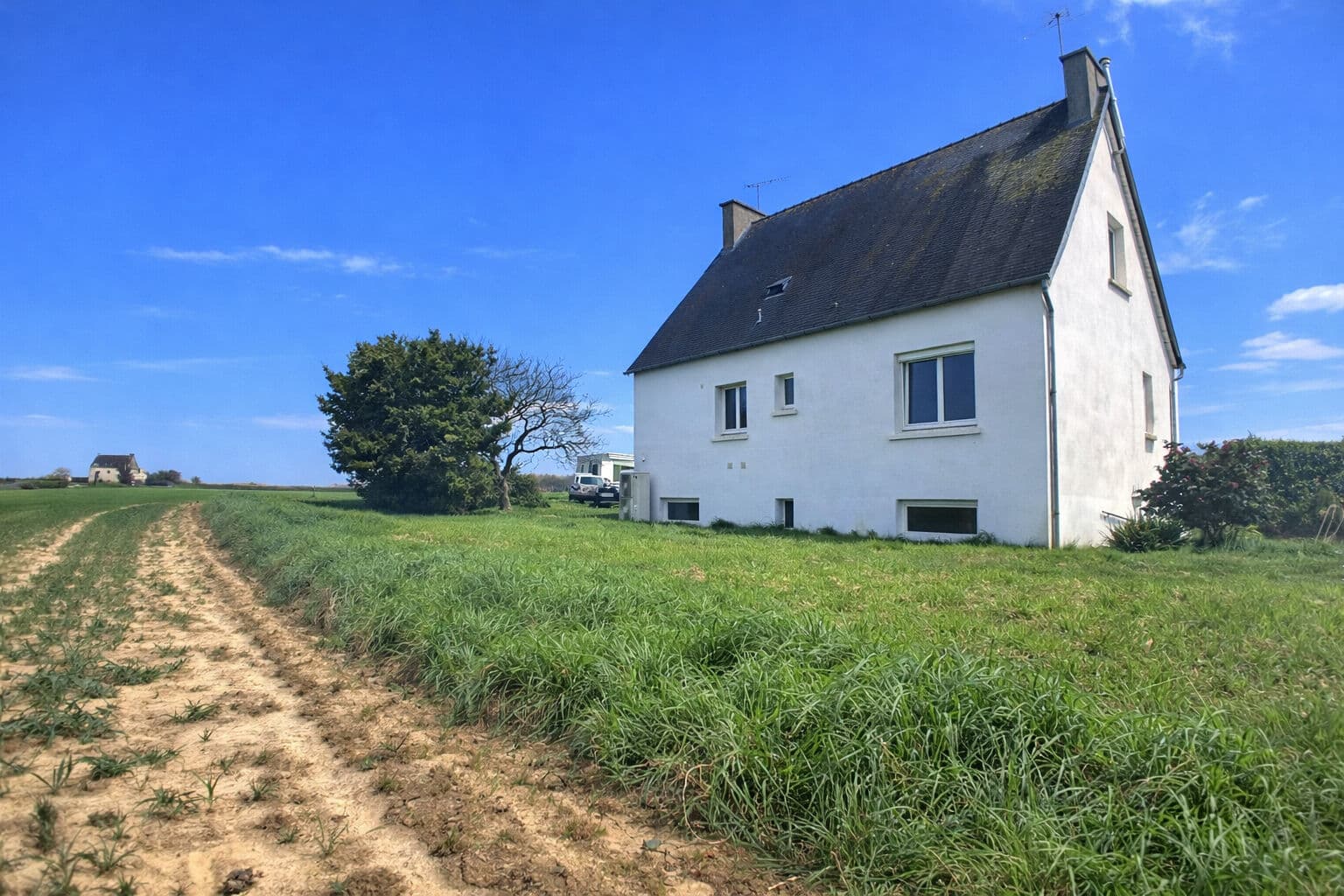 Image 15