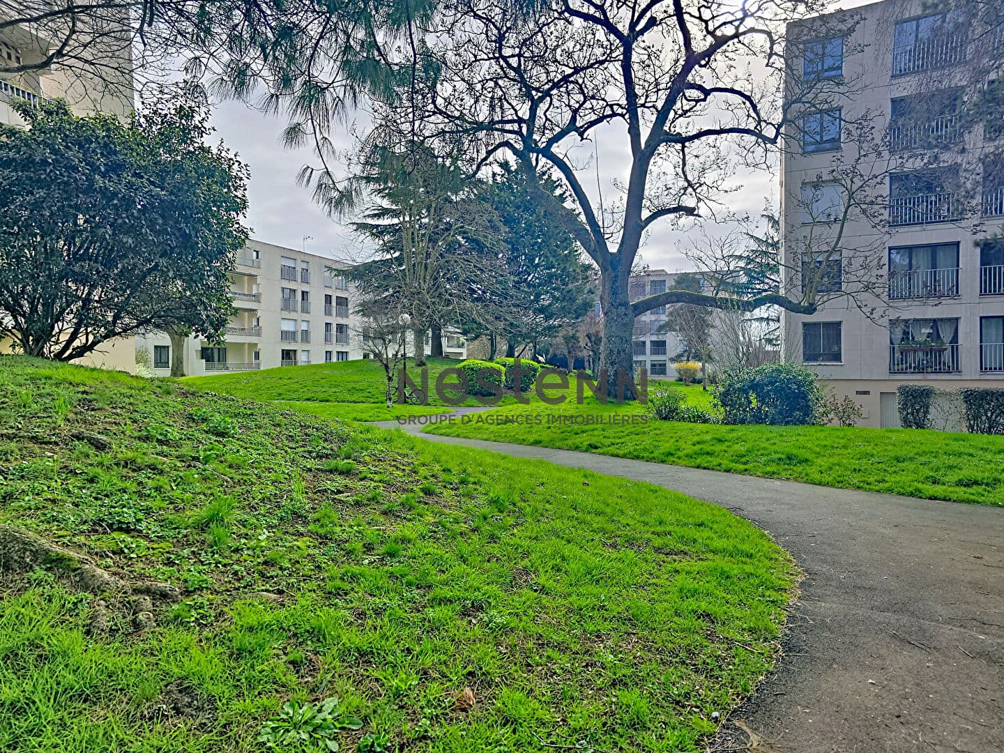 Image 15
