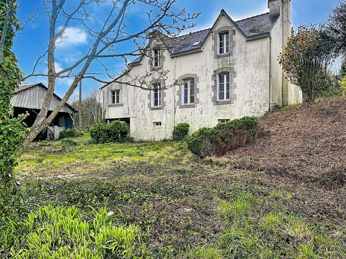 Image 10