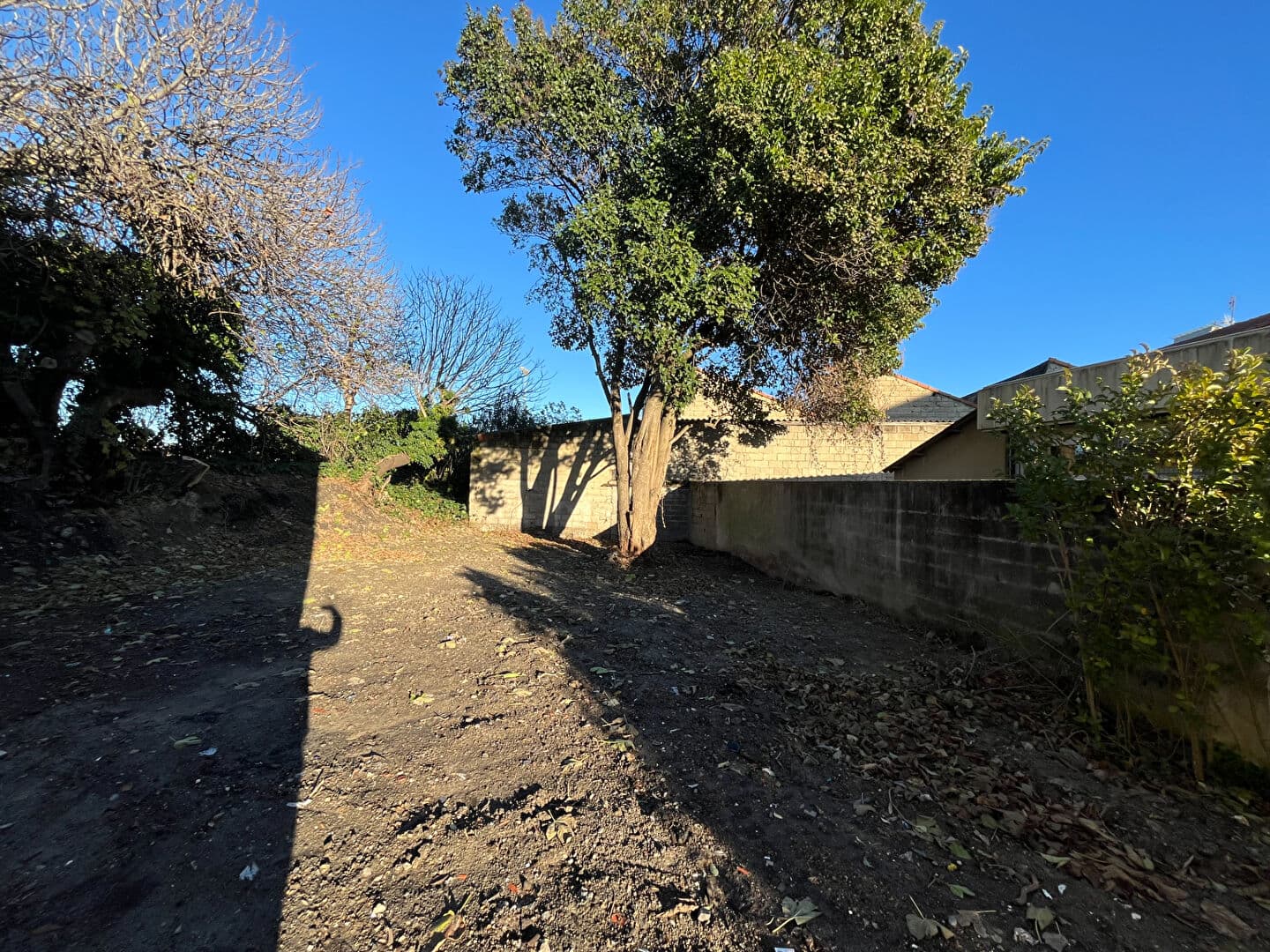 Image 8