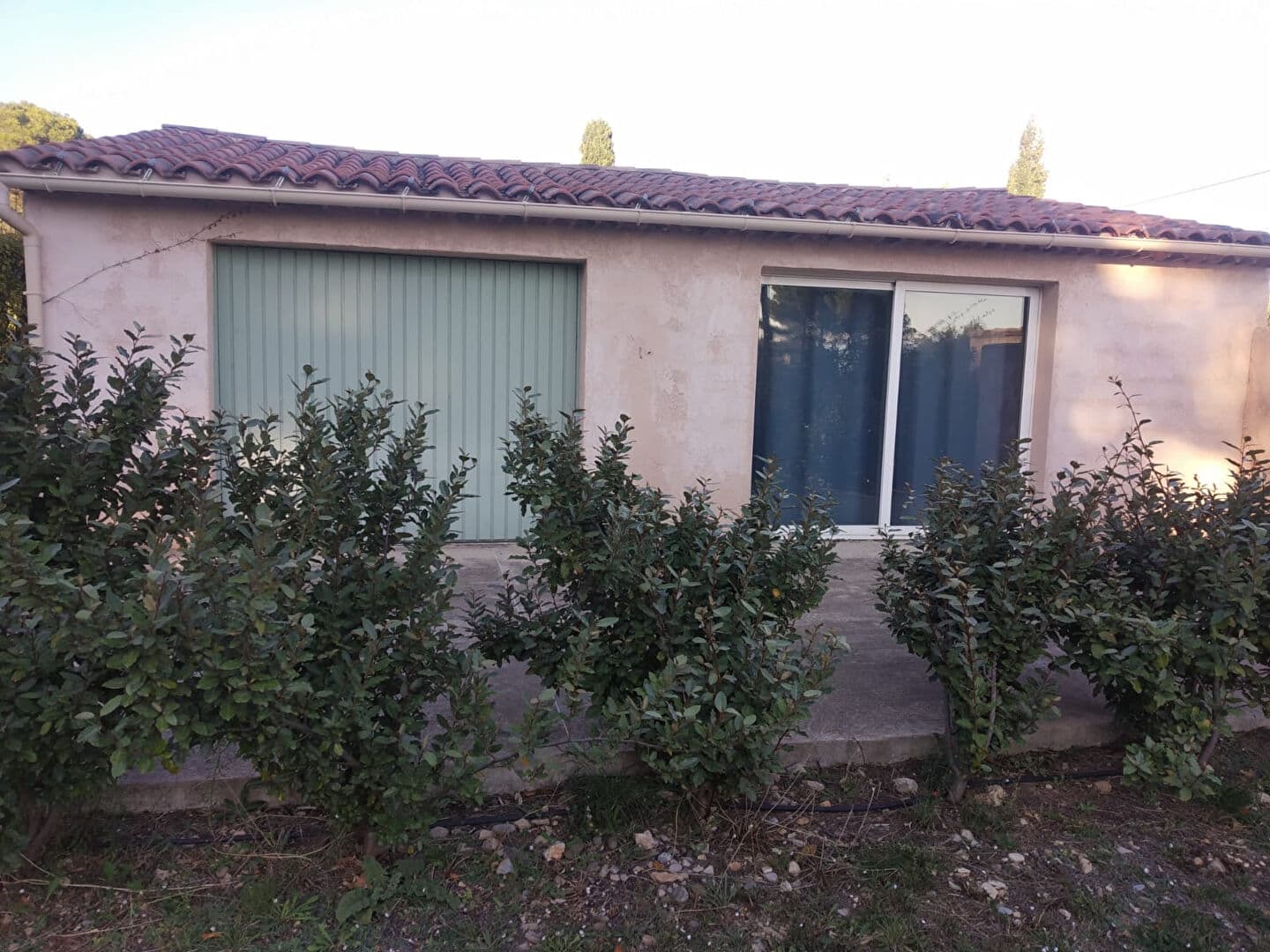 Image 19