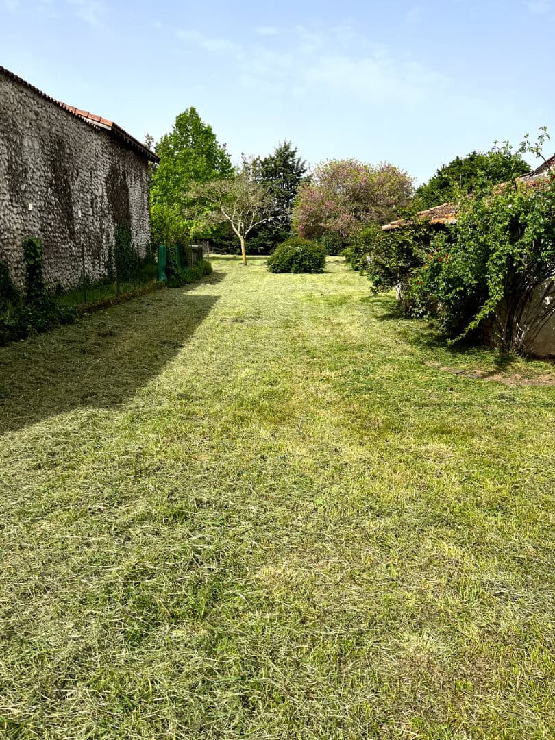 Image 20
