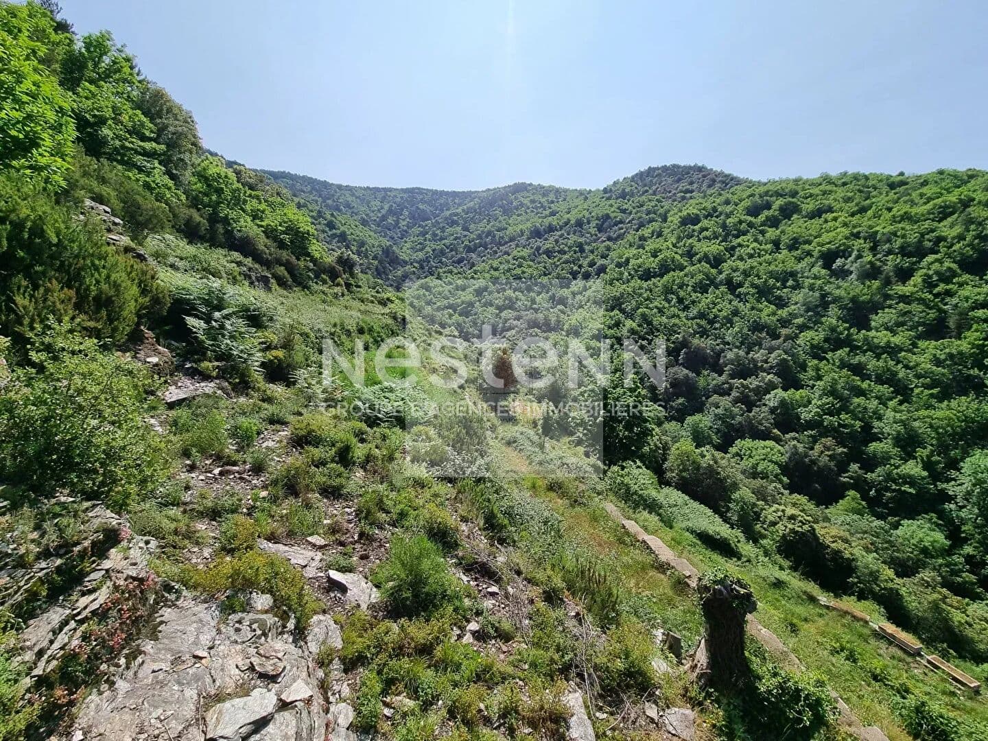 Image 10