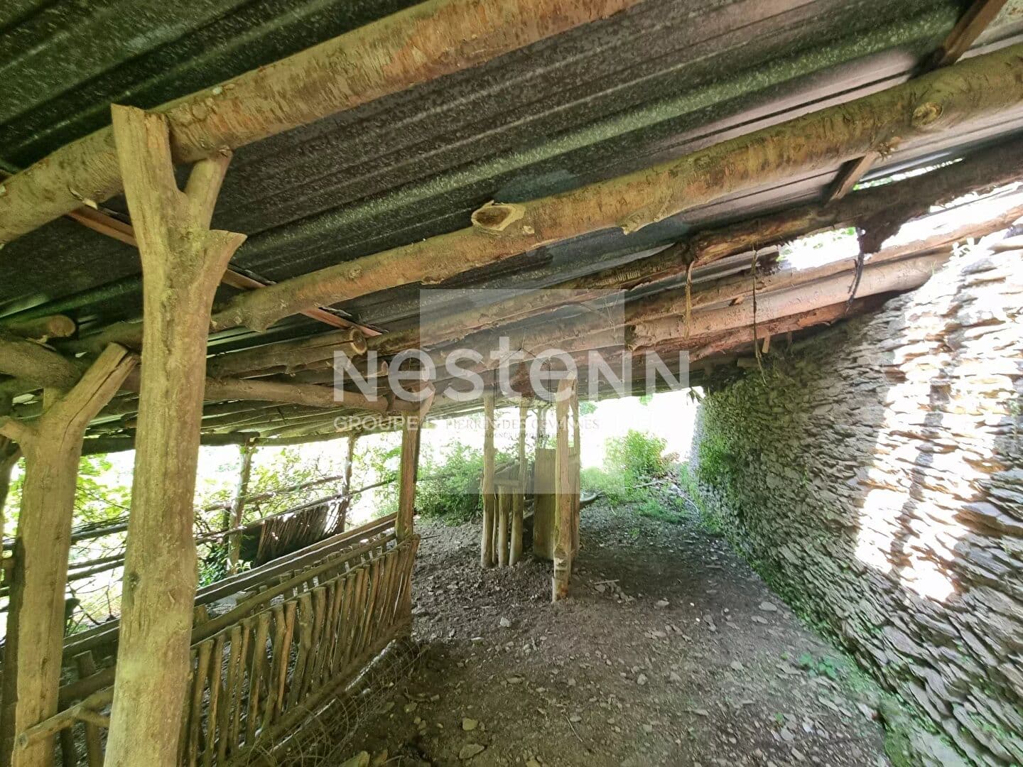 Image 11