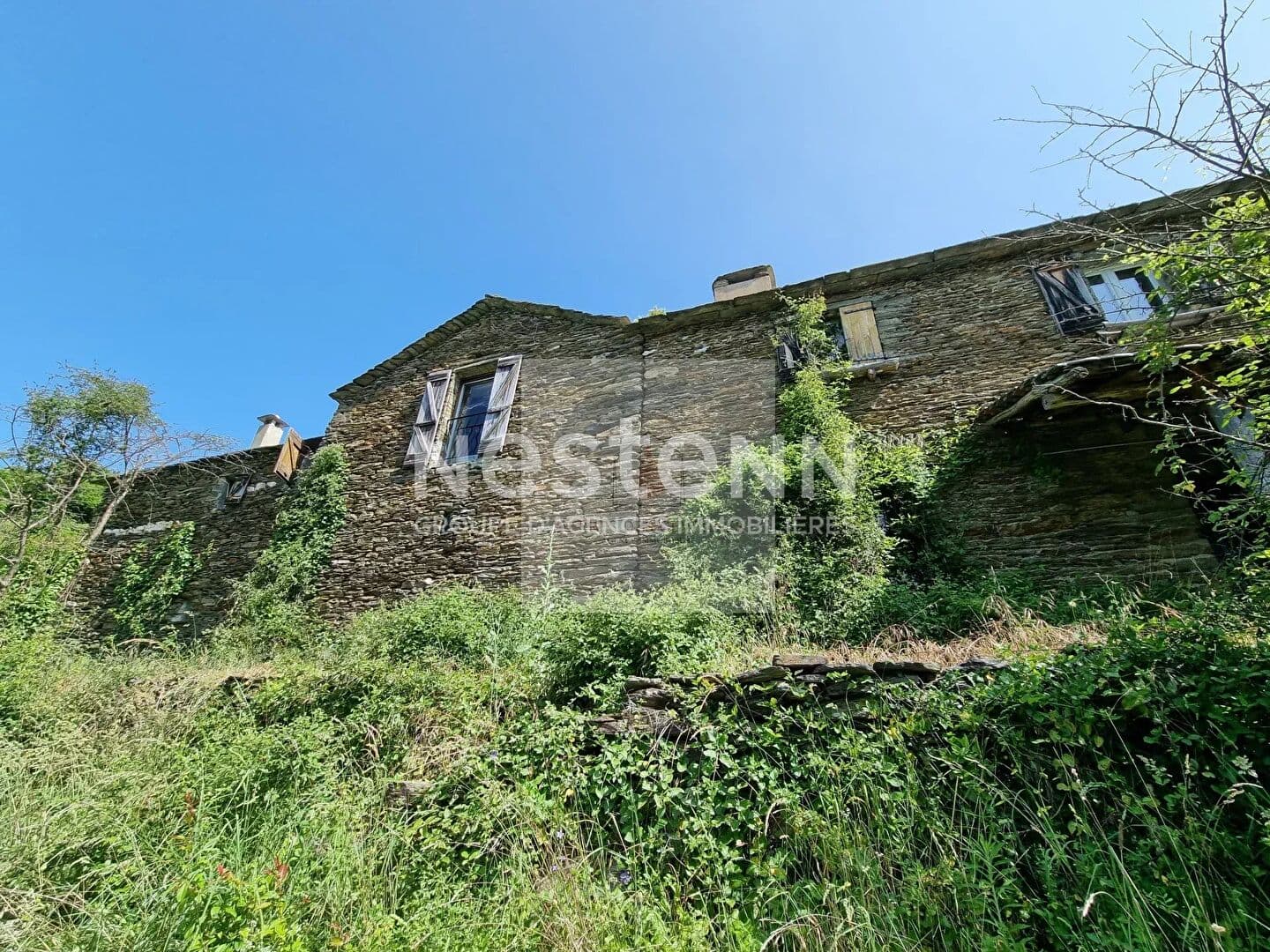 Image 13
