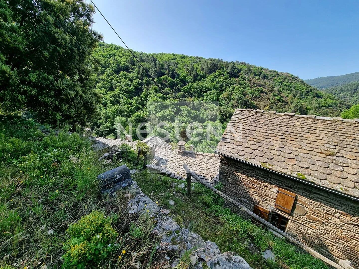 Image 14